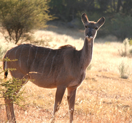 Wedding venues in Limpopo